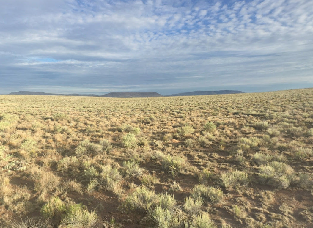 #L05964-1 5 Acres in Rio Grande Ranches Costilla, Colorado $5,995.00 ($81.92/Month)