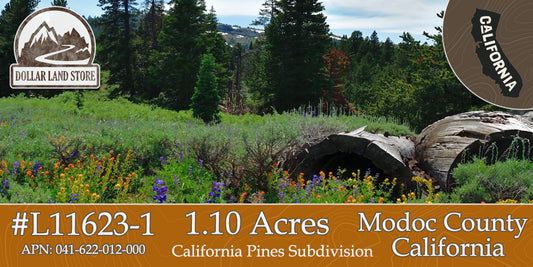 #L11623-1 1.10 Acres in California Pines, Modoc CA $5,899.00 ($105.38/ Month)