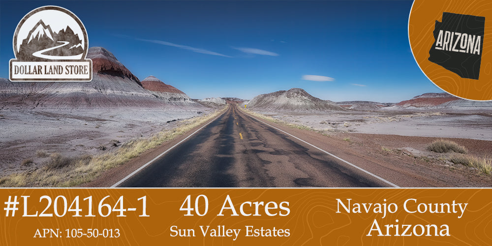 #L204164-1 40 Acres Nearby Historic Route 66, Navajo County, AZ   $25,999.00 ($322.84/Month)