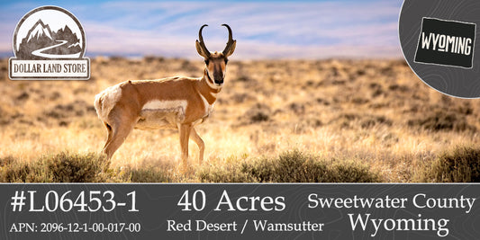 #L06453-1 40 Acres in Red Desert Area, Sweetwater County, Wyoming $12,500.00 ($165.01 / Month)