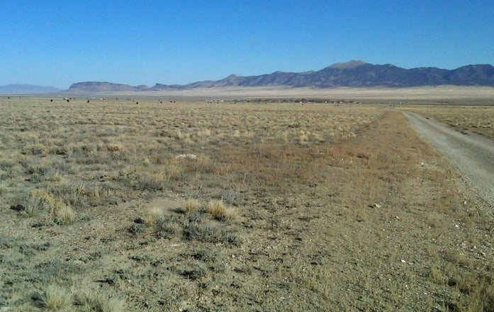 #L40045-1 2.35 Acres in Elko County, Nevada $5,999.00 ($87.68/ Month)