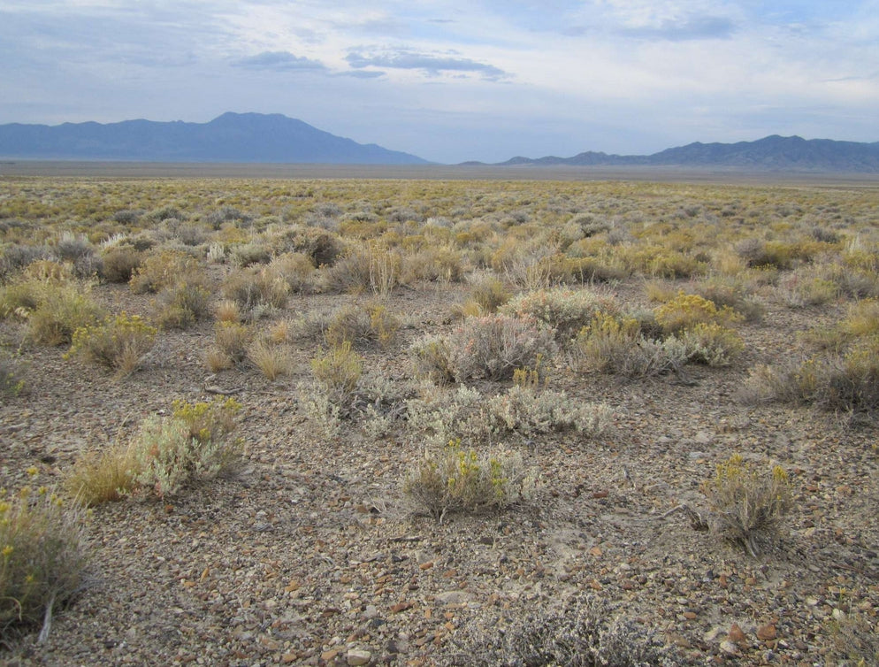 #L40045-1 2.35 Acres in Elko County, Nevada $5,999.00 ($87.68/ Month)